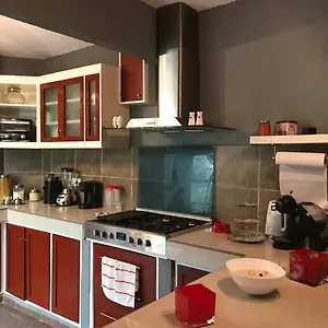 Potter Cancún